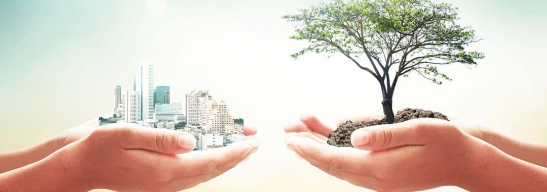 Sustentabilidade: Como o condomínio pode adotar esta ideia
